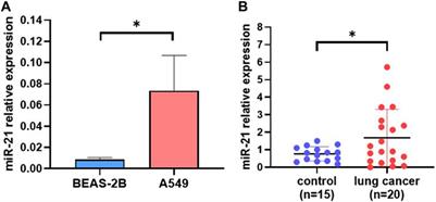 Highly efficient and automated isolation technology for extracellular vesicles microRNA